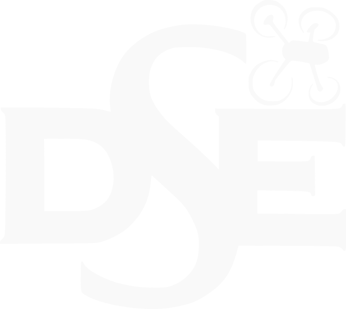 DSE Logo